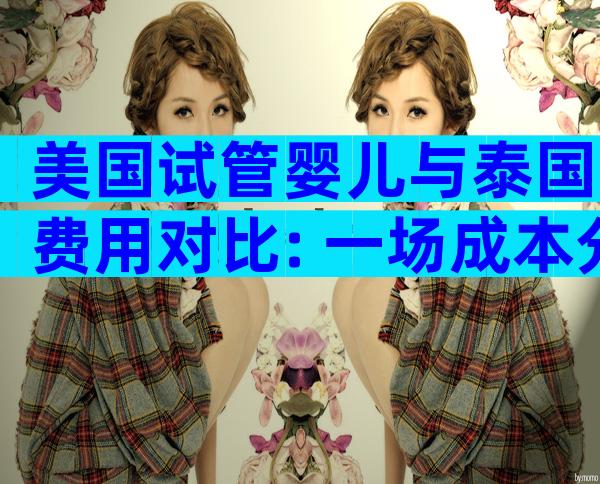美国试管婴儿与泰国费用对比: 一场成本分析